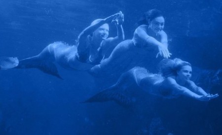 Bella,Cleo és Rikki